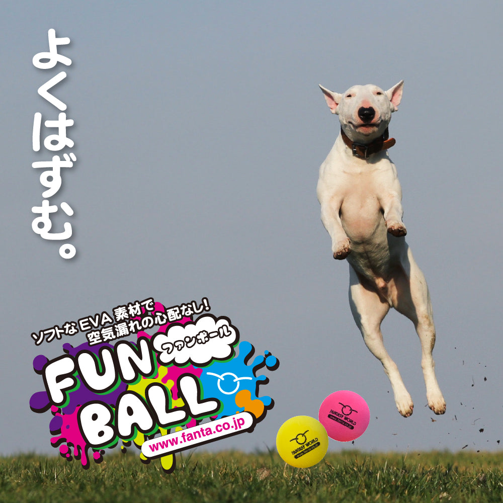 数量限定 セール ファンボール　ペット用玩具