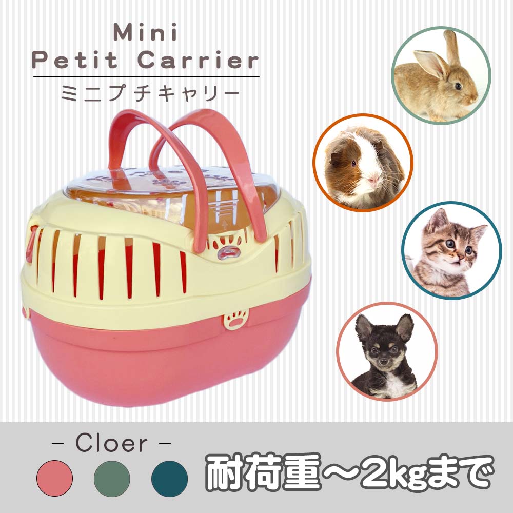 組立発送 ミニプチキャリー
